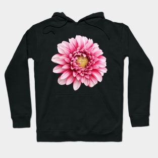 Dahlia Hoodie